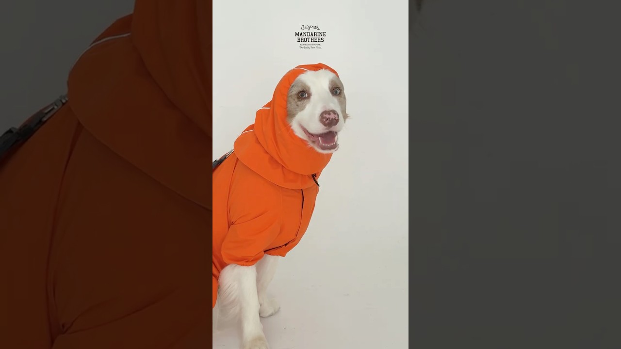 RAIN SUIT（XL.XXL） レインスーツ | MANDARINE BROTHERS マンダリン