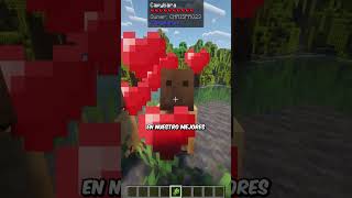 Capybaras en minecraft! #shorts #mods #minecraft