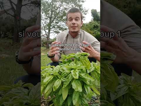 Réussir à cultiver