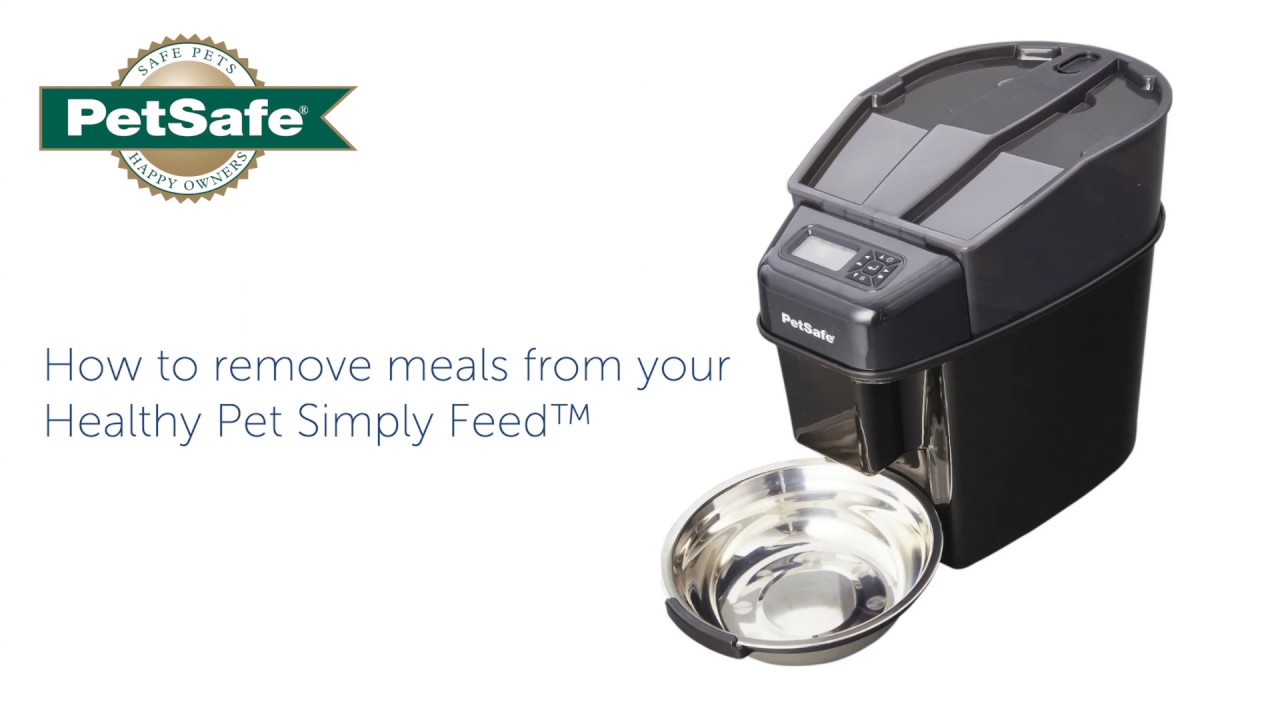 How We Keep Our Pet Feeding Stations Clean – Practically Functional