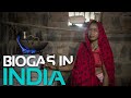 Cooking with biogas in gujarat india  sistemabio digesters