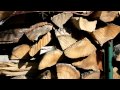 Drying Firewood in Vermont, June 2011 Drying Firewood in Vermont, June 2011