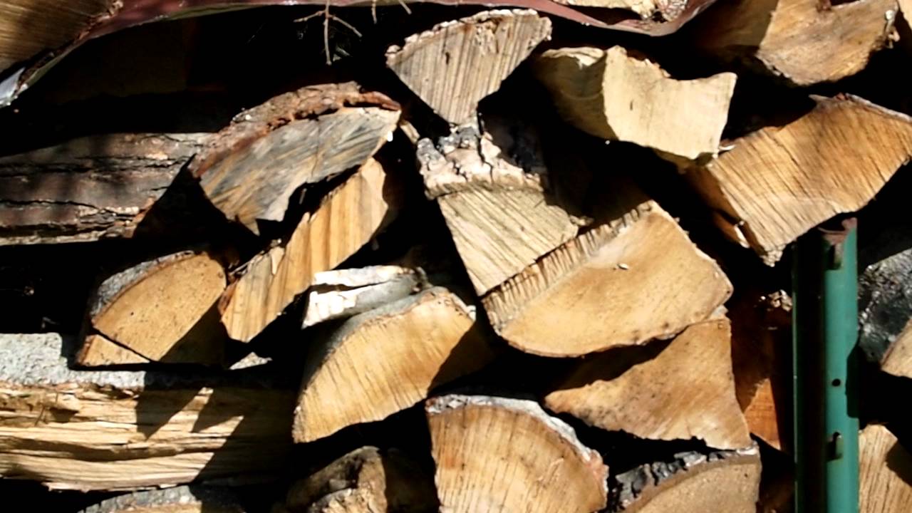 dry fire wood