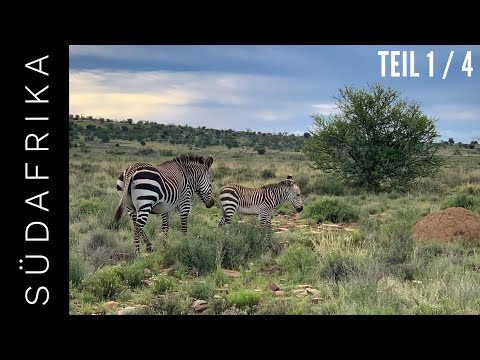 Video: Golden Gate Highlands Milli Parkı: Tam Bələdçi