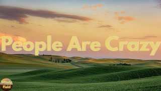 Billy Currington - People Are Crazy (Lyrics)