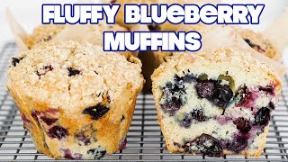 THE BEST Homemade Fresh Blueberry Muffins Recipe