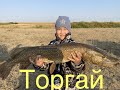 ТОРГАЙ рыбалка 2020, река Торгай, река Кабырга