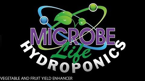 Microbe Life Hydroponics Vegetable and Fruite Yield Enhancer