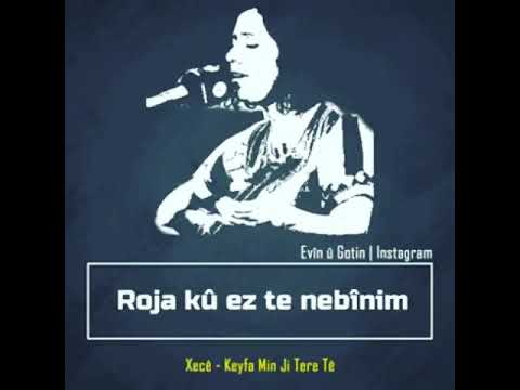 Xecē Keyfa Min Ji Tere Te