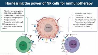 Penetrating Solid Tumors with CAR Immune Cells