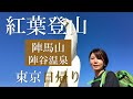 【陣馬山・陣谷温泉】紅葉登山 東京日帰りコース　山ごはんレシピも！20.11.21