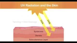 UV the Skin and the UVA+B SunFriend®