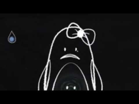 Feelings Song | Emotions Song | The Singing Walrus Reversed - YouTube