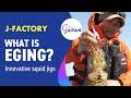 What is EGING?