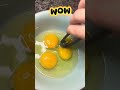 Hate the Stringy White Part in Eggs? Watch This