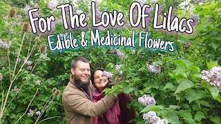 For The Love Of Lilacs 🌸 Edible & Medicinal Flowers by Home Is Where Our Heart Is 6,313 views 11 months ago 8 minutes, 3 seconds