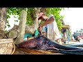 Wow hard working day rural traditional village fish market in sri lanka