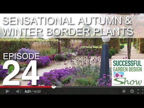 Video: Edeworthia Paperbush Rastline - Naučite se gojiti Paperbush na vrtu