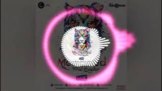 Geetanjali-Tiger Beat GHK Remix