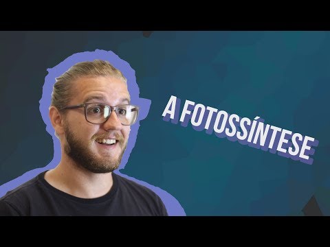 Vídeo: Como Jan Ingenhousz contribuiu para a fotossíntese?