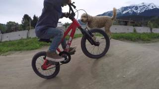 2 1/2 Year Old BMX Biker catching air and doing tricks