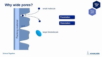 KNAUER HPLC Columns Tutorial: 05 HPLC column RP widePore