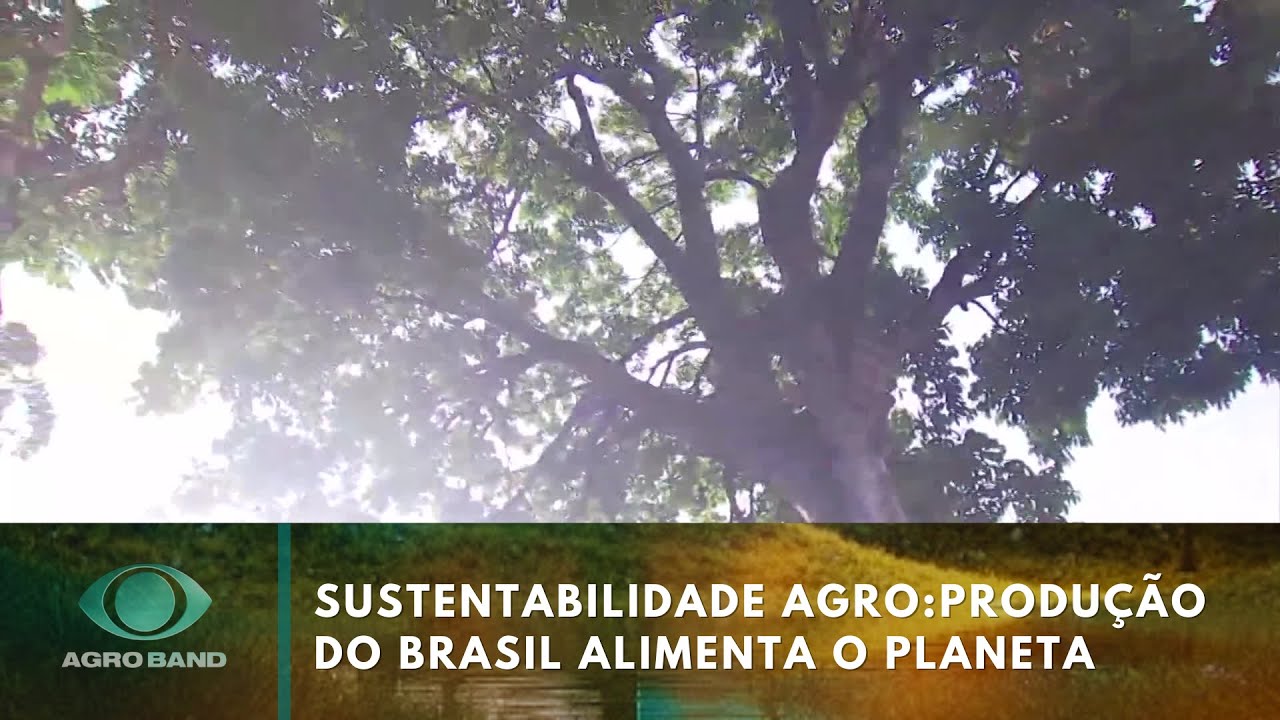 Sustentabilidade do agro: produção do Brasil alimenta o planeta