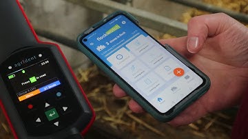 Farm Smart: Flockwatch Sheep Management App - The Stauntons - This Flocking Year Part 1