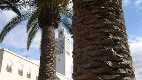 تلاوة خاشعة لما تيسر من سورة هود _ تراويح 13 رمضان _للقارئ طلحة الدريوش