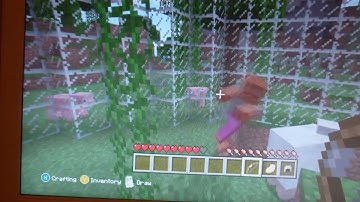 Minecraft Xbox 360 Edition Hunger Games 1V1 TRIAL