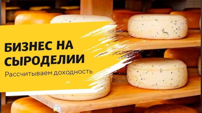 Сыроделие: как превратить свое хобби в прибыльный бизнес с Cheese lab