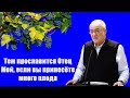 &quot;Тем прославится Отец Мой, если вы принесете много плода&quot; Антонюк Н.С.