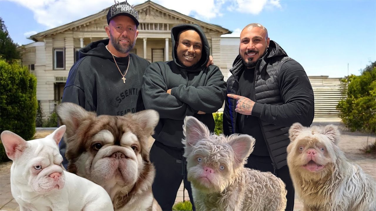 Тони Хилл/Frenchies Essex: Собаки и дичь на сумму более миллиона долларов!!