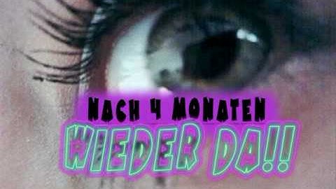 Es geht wieder los