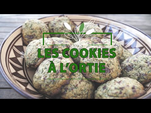 cuisine-sauvage-et-citoyenne-:-Épisode-1-les-cookies-à-l'ortie
