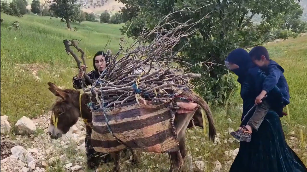 **Title: Nomadic Life in Iran: Hard, Sweet, and Unbelievable! 🤯**