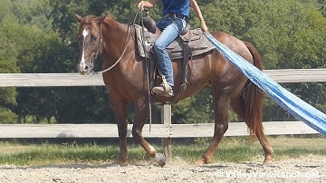 Attitudes Desire***For info, price, etc., go to our website***ValleyViewRanch.net