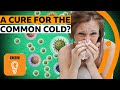 Understanding the Challenges of Curing the Common Cold