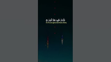 سورة الفيل #قرآن #قران_كريم #حالات_واتس #آيات #تلاوة_خاشعة #راحة_نفسية #duet