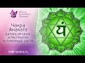 Очищение чакр | 4 чакра - АНАХАТА | Балансировка и гармонизация сердечной чакры в Пирамиде Света