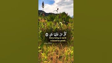 قرأن كريم تلاوة خاشعة راحة نفسية #elmulquranعلم #قران_كريم #اكسبلور #المصحف #trend #لايك