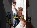 كلب قرر يعمل كده مع صاحبة لكن فى الاخر#فيديو#قصص#اكسبلور