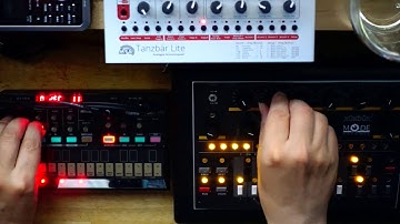 Volca FM bass jam with x0xb0x and Tanzbär Lite