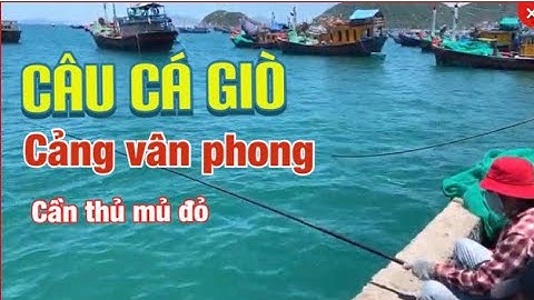 Câu Cá Giò | Một Buổi Dang Nắng Xem Câu Cá Cùng Cần Thủ Cảng Đại Lãnh | See fishing on Dai Lanh port