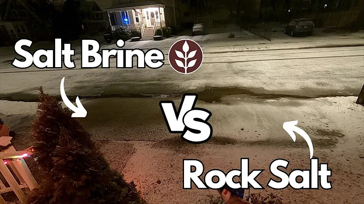 Salt Brine Vs Rock Salt for Snow Storm Prep