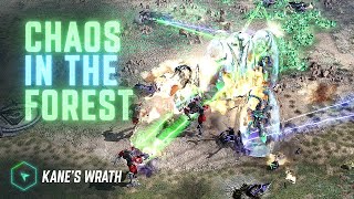 2v2 Chaos in the Forest  Kane's Wrath (Live Stream VOD)