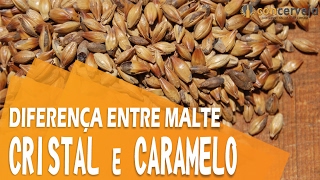 Qual a diferença entre Malte Cristal e Caramelo? | Concerveja (305/365)