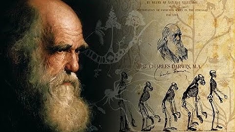 Charles Darwin – Cha đẻ thuyết tiến hóa và cuộc cách mạng khoa học