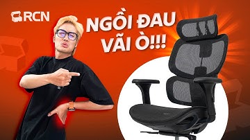 Ngồi ghế công thái học Epione FortisChair bị đau lưng? Sự thật là gì? | Rương Công Nghệ