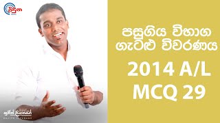 G.C.E. A/L Physics 2014 (Question 29) | භෞතික විද්‍යාව පසුගිය විභාග ගැටළු විවරණය